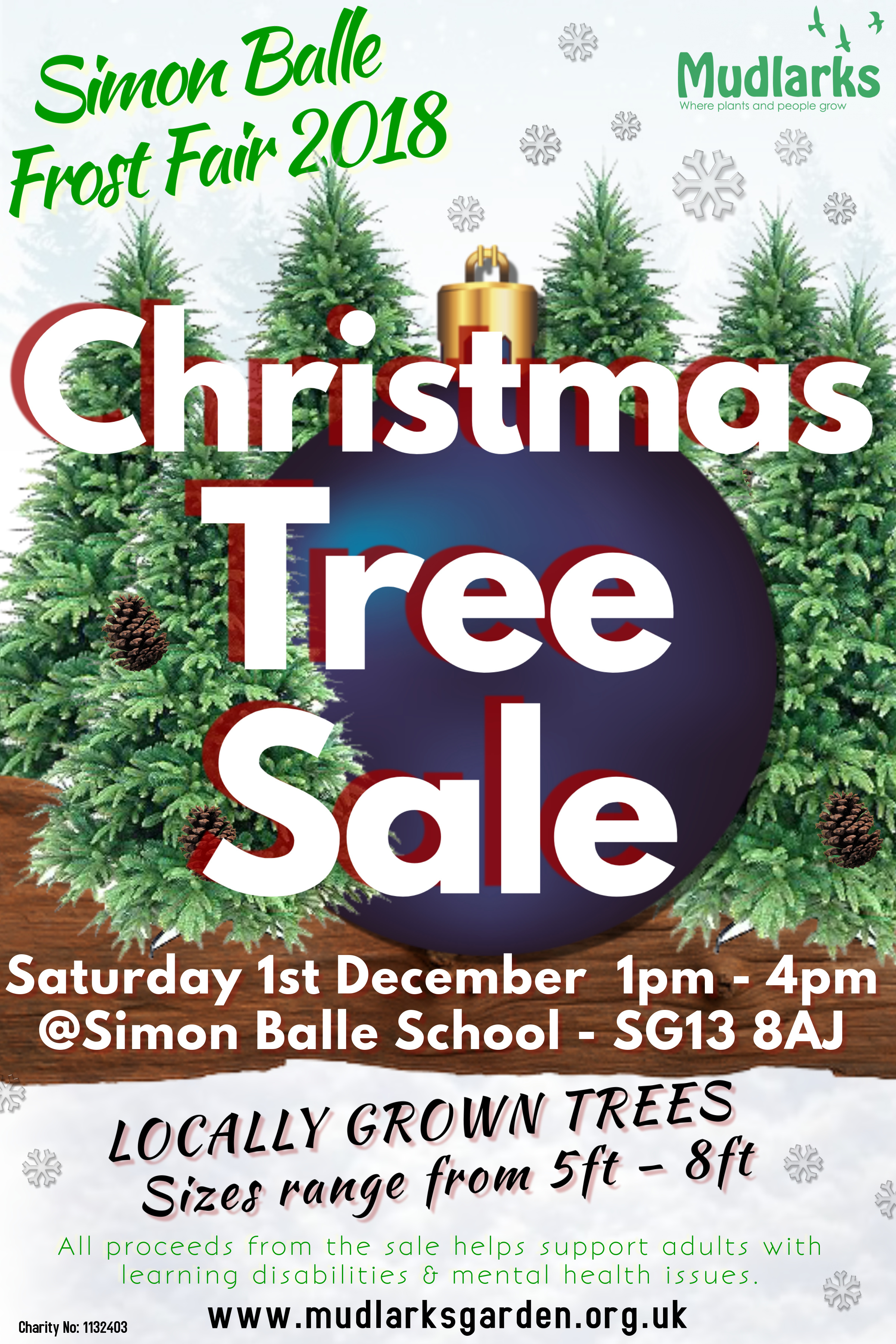 xmas tree sale