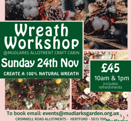 Wreath Workshop 24th Nov 10am & 1pm