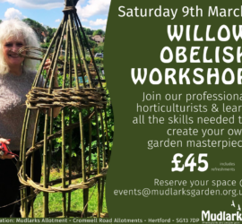 Willow Workshop Saturday 9th March @10:30am