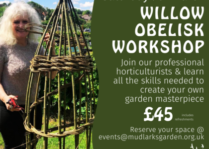 Willow Workshop Saturday 9th March @10:30am