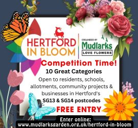 Hertford in Bloom Competition